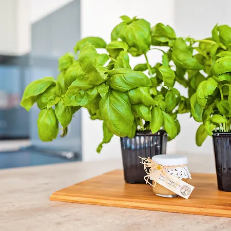 Homely Place Blisko Starego Rynku - Parking * פוזנן