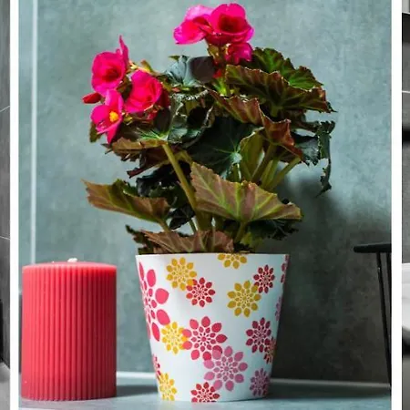 Homely Place Blisko Starego Rynku - Parking *