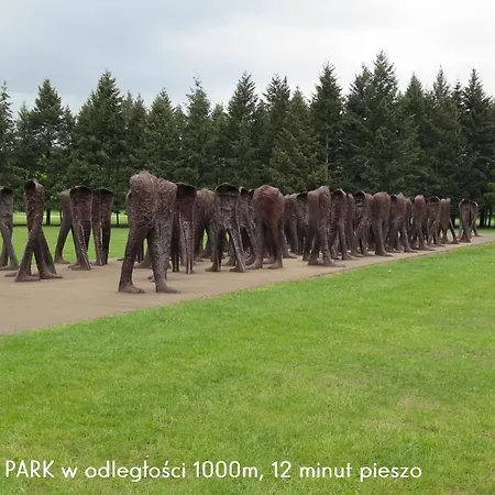 Homely Place Blisko Starego Rynku - Parking