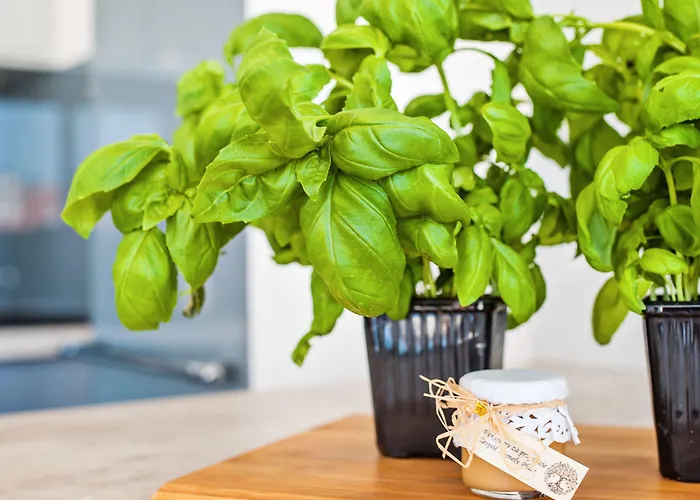 Apartamenty Homely Place Blisko Starego Rynku - Parking * Poznan