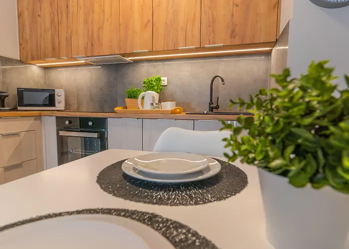 Apartamenty Homely Place Blisko Starego Rynku - Parking Apartment Poznan